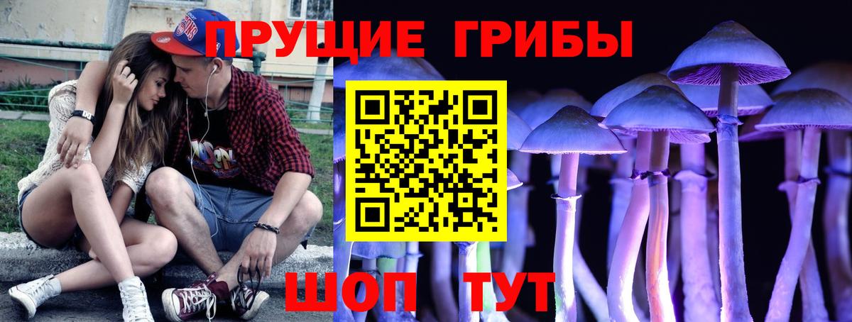 Отрадное  Галлюциногенные грибы Psilocybe  Вход с VPN 